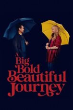 A Big Bold Beautiful Journey (2025)